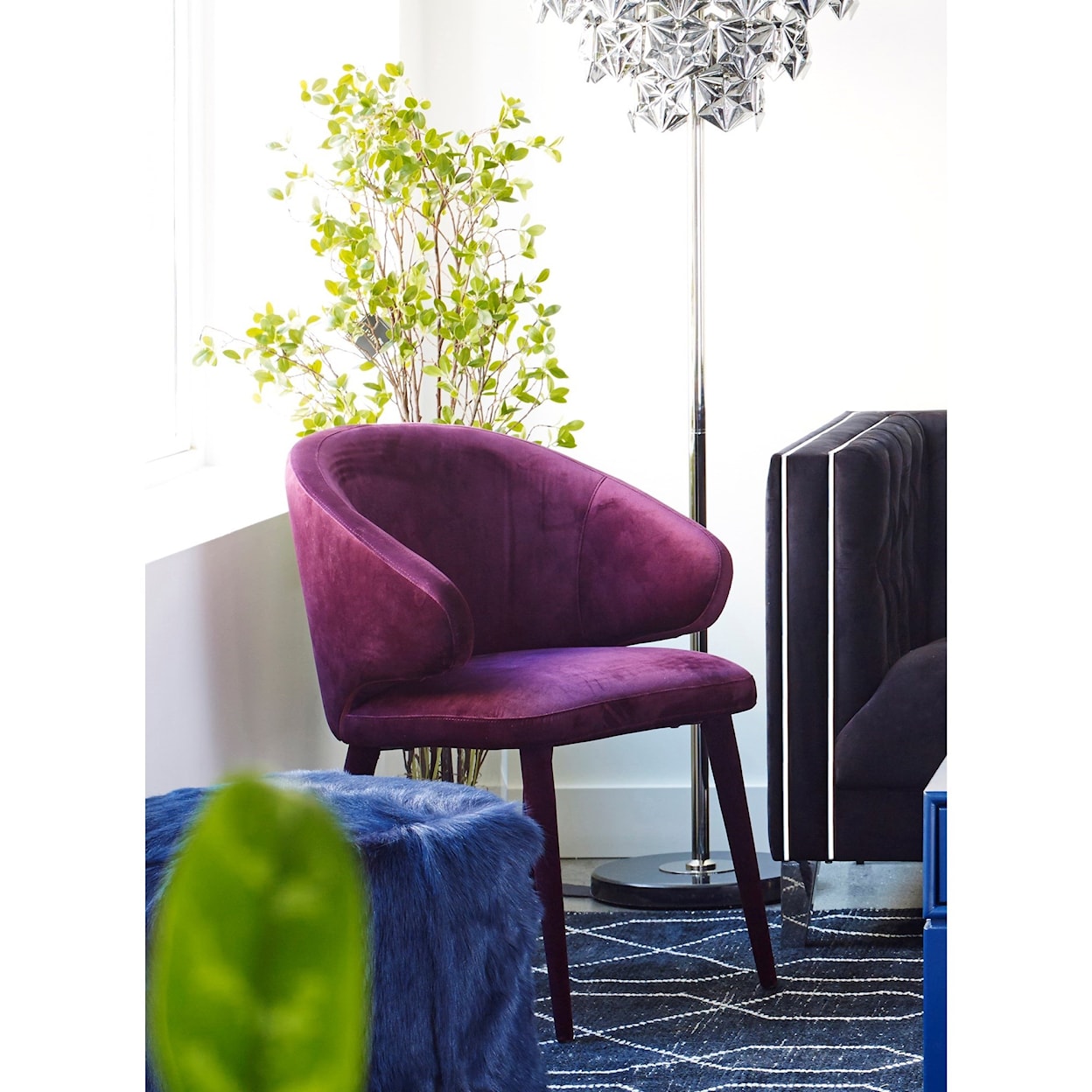 Moe's Home Collection Stewart Purple Dining Chair