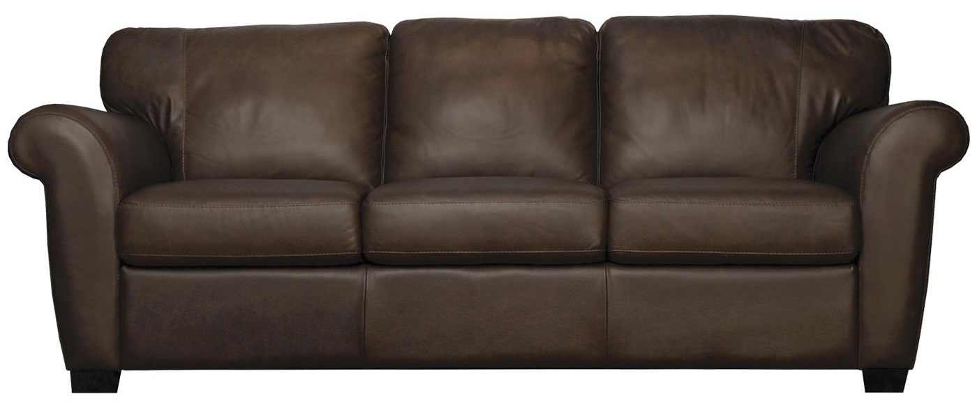 Stationary Leather Sofa