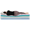 DreamCloud Dream Cloud Premier Euro Top Full 15" Hybrid Euro Top Mattress