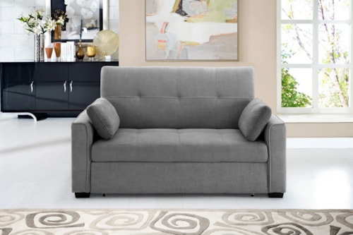 Sleeper Sofa