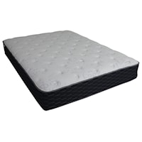 Twin 12" Plush mattress