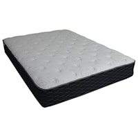 Queen 12" Plush mattress