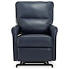 Palliser Pinecrest Power Lift Recliner