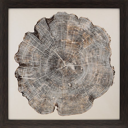 Timber I Framed Art