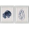 Paragon Wall Art Set of 2 Seaweed I Wall Art