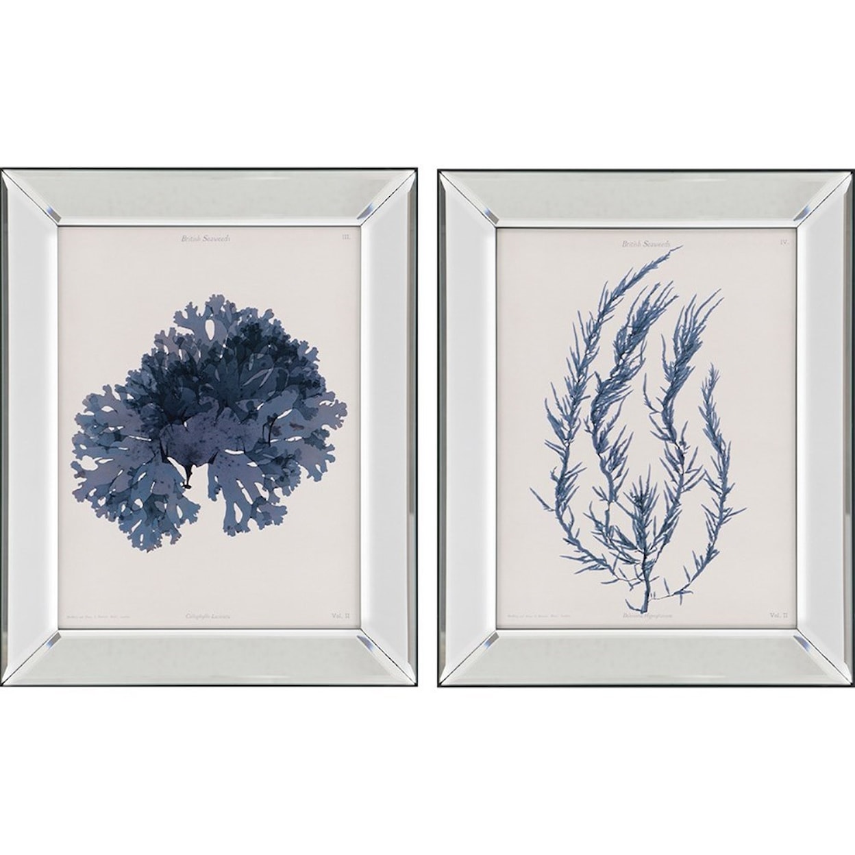 Paragon Wall Art Set of 2 Seaweed I Wall Art