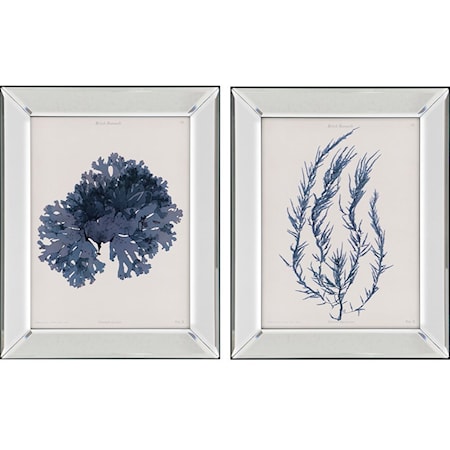 Set of 2 Seaweed I Wall Art