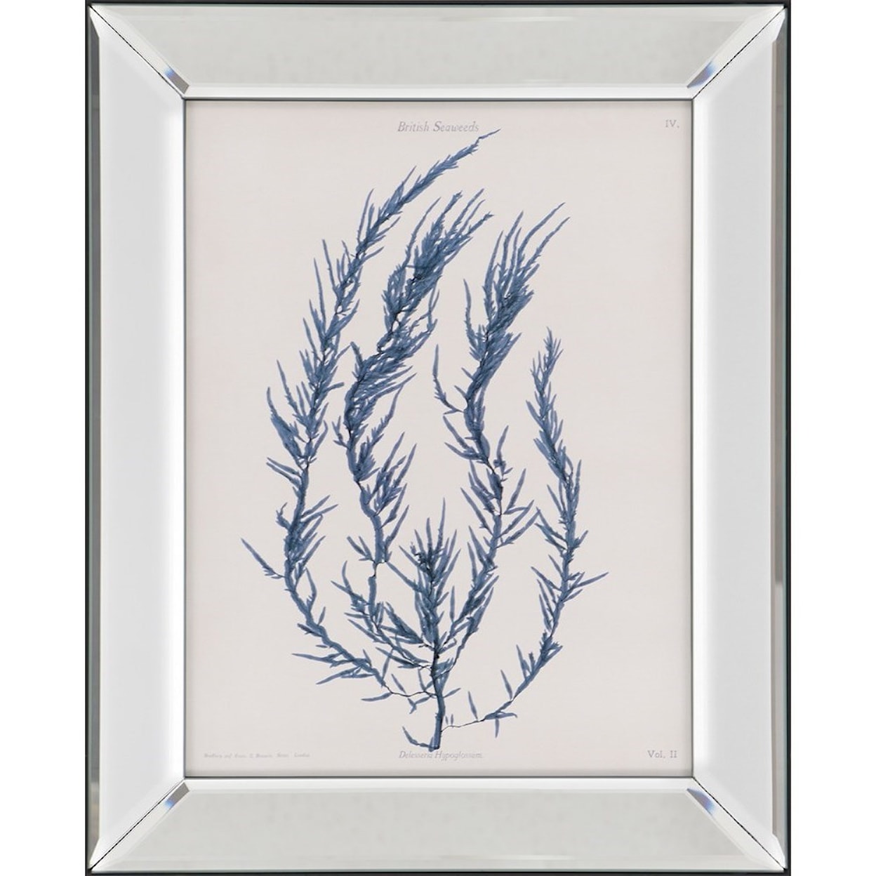 Paragon Wall Art Set of 2 Seaweed I Wall Art