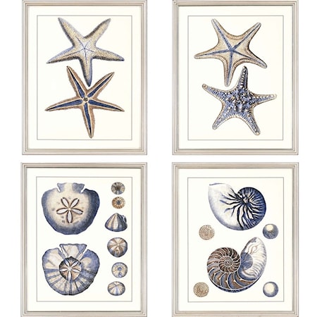 Set of 4 Sea Life Framed Art