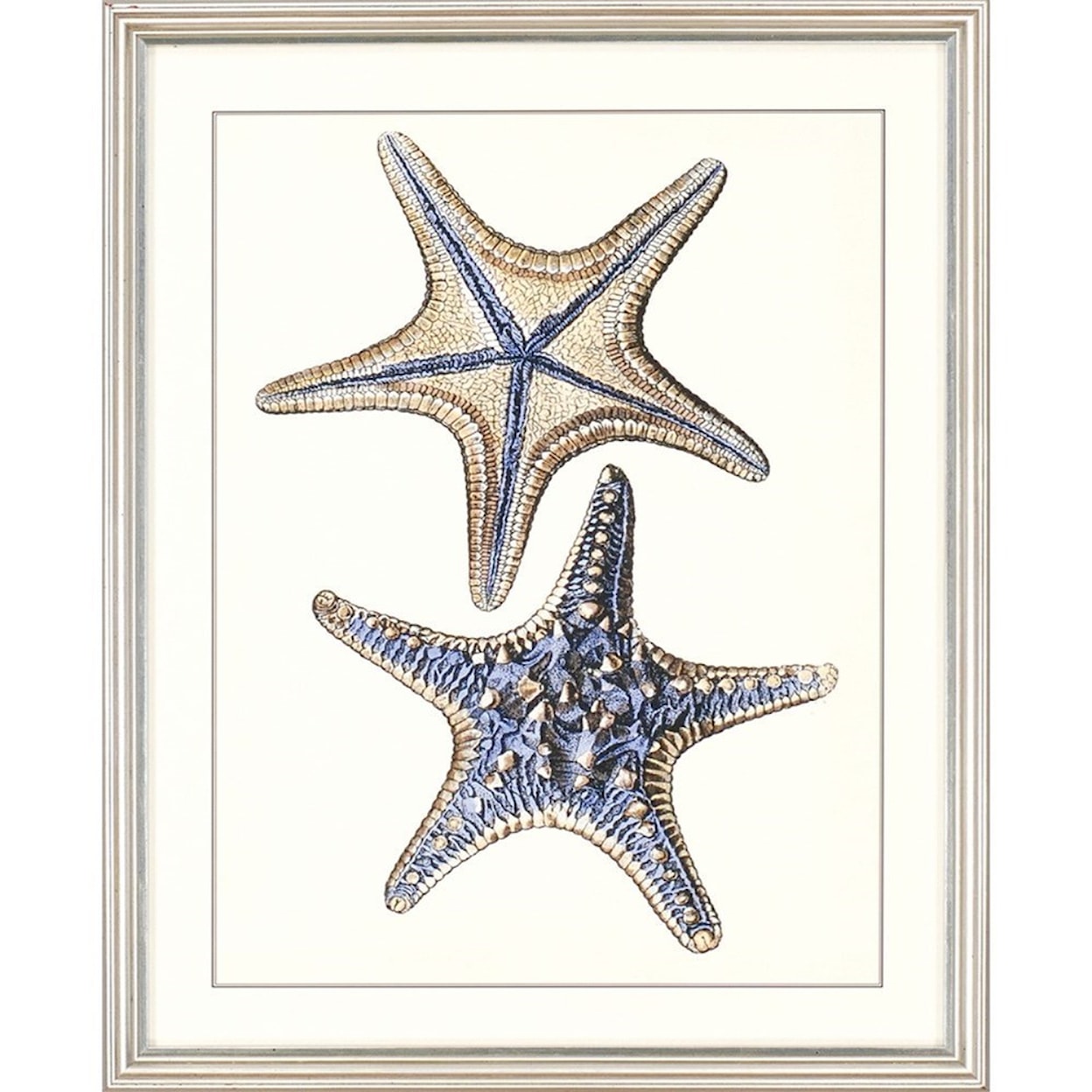 Paragon Wall Art Set of 4 Sea Life Framed Art