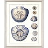 Paragon Wall Art Set of 4 Sea Life Framed Art