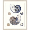 Paragon Wall Art Set of 4 Sea Life Framed Art