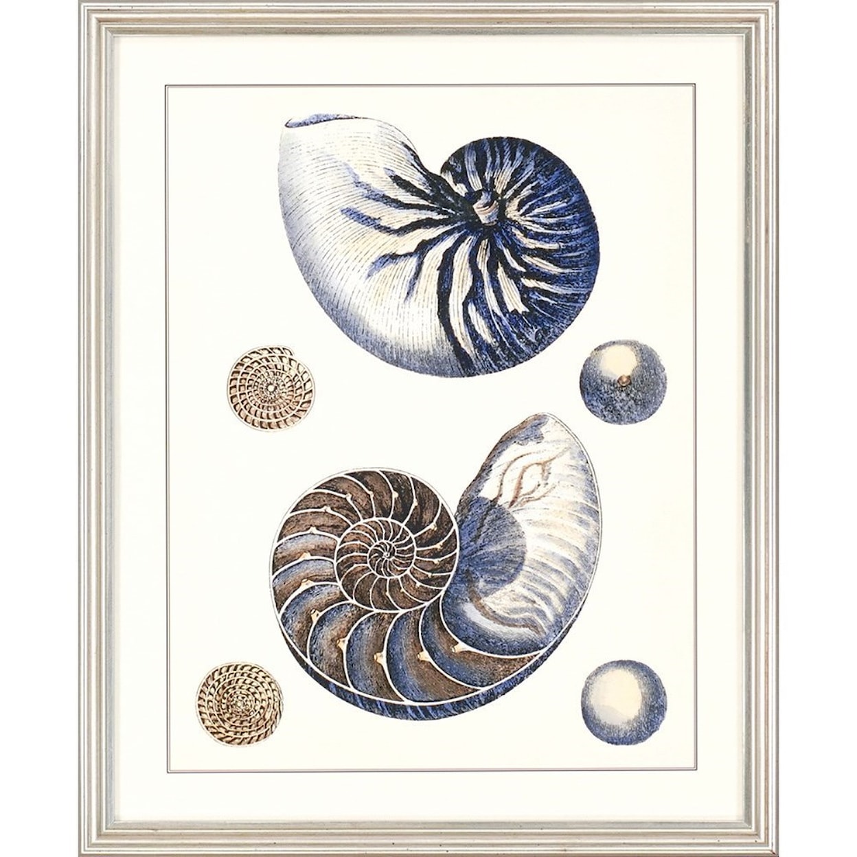 Paragon Wall Art Set of 4 Sea Life Framed Art