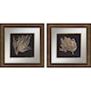 Paragon Wall Art Set of 2 Gold Coral II Framed Art