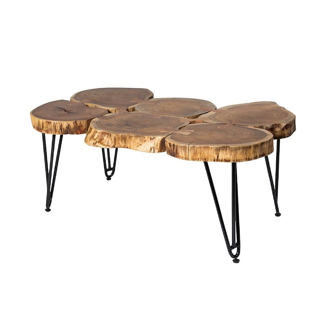 Porter Designs Porter Deschutes Coffee Table