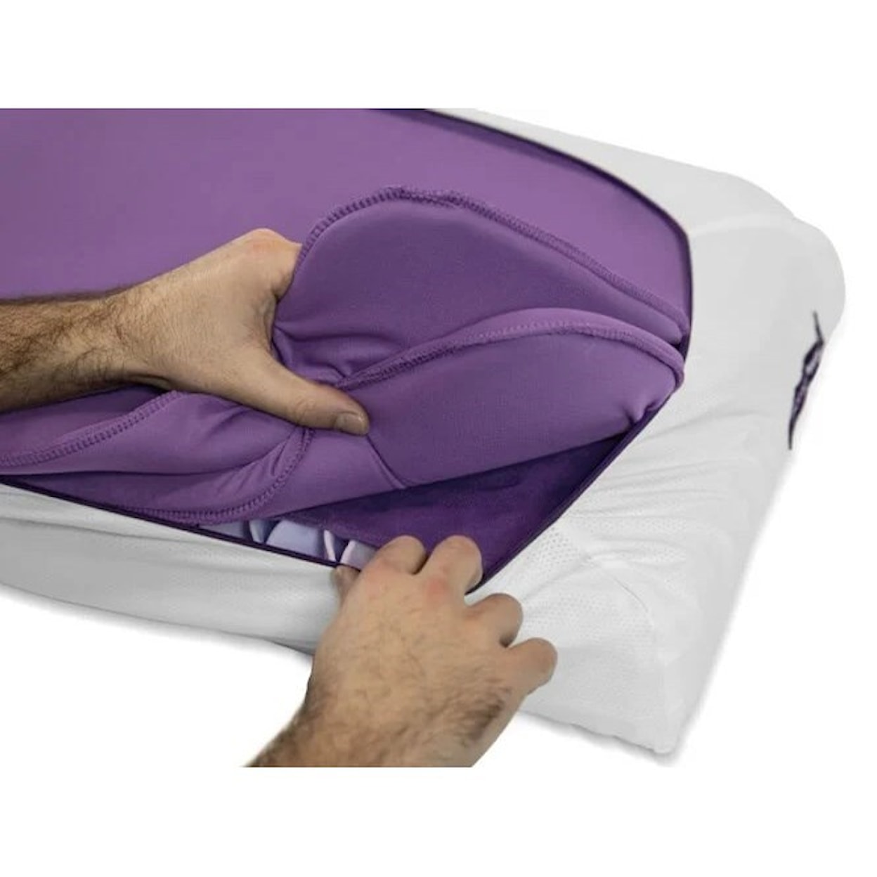 Purple The Purple Pillow The Purple Pillow