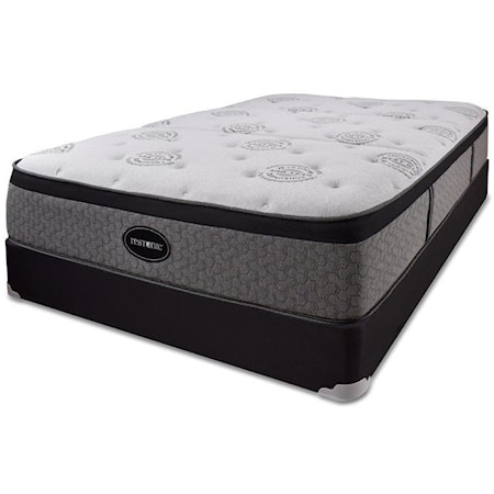 Queen Cushion Firm Encased Coil Mattress and 9" Black Foundation