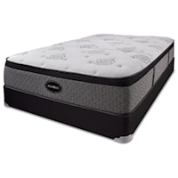 Twin Extra Long Plush Euro Top Mattress and 5" Low Profile Black Foundation