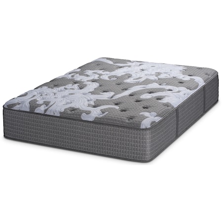 Queen Plush Pocketed Coil Mattress and Prodigy Lumbar Adjustable Base