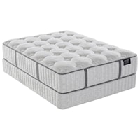 Queen 14" Plush Hybrid Mattress and 5" Biltmore Low Profile Foundation