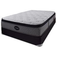 Twin Euro Pillow Top Mattress and 5" Low Profile Black Foundation