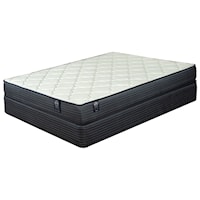 Twin Extra Long Plush Innerspring Mattress and 9" Universal Navy Foundation