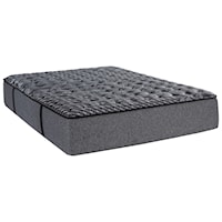 Queen 13 1/2" Plush Pocketed Coil Mattress and Deluxe Adjustable Base