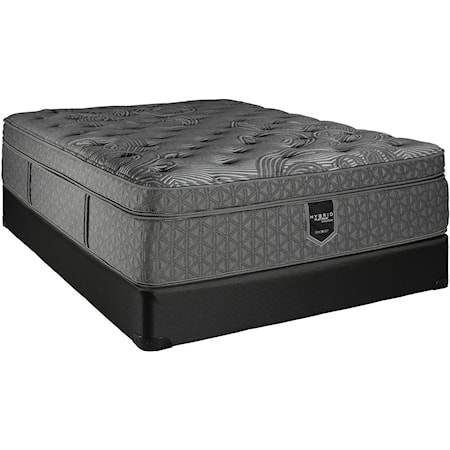 Twin 16" Plush Box Top Hybrid Mattress Set