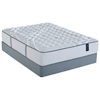 Cal King Plush Pocketed Coil Mattress and Scott Living Universal Low Profile Foundation
