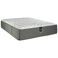 Twin Extra Long 13" Plush Hybrid Mattress