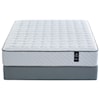 Restonic Juniper Extra Firm King Pocketed Coil Mattress Set