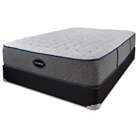 Twin Extra Long Luxury Firm Mattress and 9" Black Foundation