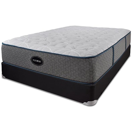 Twin Luxury Firm Mattress and 9" Black Foundation