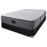 Queen Luxury Plush Mattress and 5" Low Profile Black Foundation