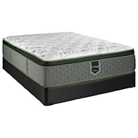 Queen Euro Top Plush Hybrid Mattress and Foundation