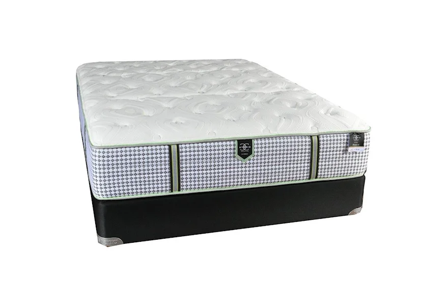 Marquis Plush Queen Pocketed Coil Mattress Set by Restonic at Zak's Home