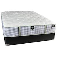 Twin Extra Long Plush Pocketed Coil Mattress and All Wood Foundation