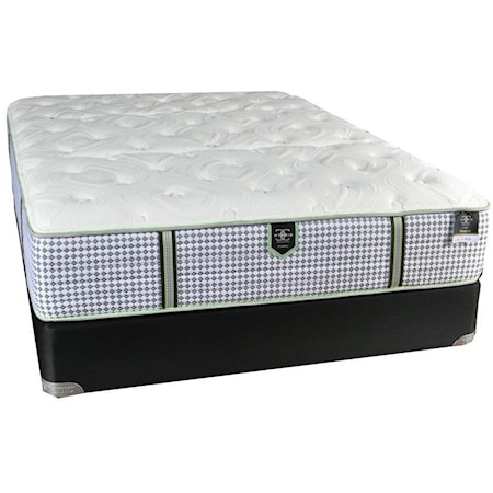 Queen Plush Pocketed Coil Mattress and All Wood Foundation