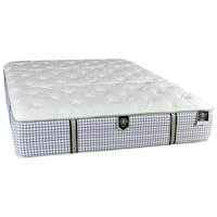 Queen Plush Pocketed Coil Mattress