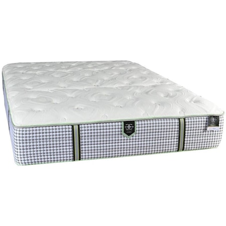 Queen Plush Pocketed Coil Mattress and Caliber Adjustable Base