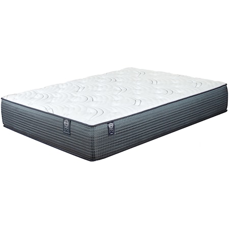 Queen Plush Individually Wrapped Coil Mattress