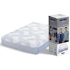 Restonic SL Hybrid SS Bed-in-a-Box Twin XL 12" Hybrid Mattress