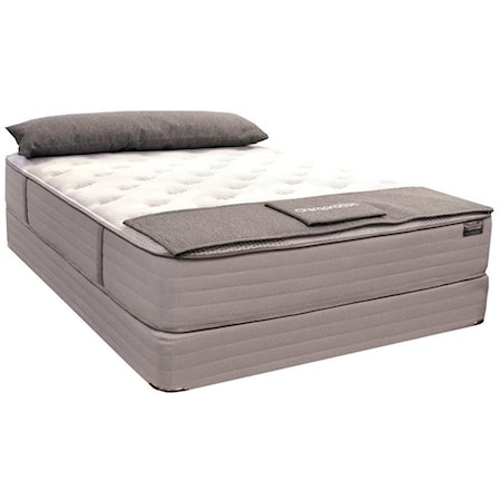 Queen Plush Pocketed Coil Mattress Set