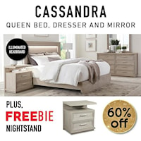 Queen Bed Package includes Queen Bed, Dresser, Mirror and Freebie Nightstand!