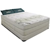 Scandinavian Bedding 60th Anniversary Queen Foam Mattress