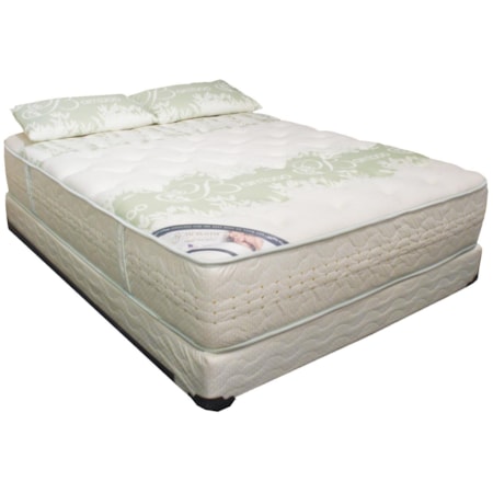 Queen Foam Mattress Set