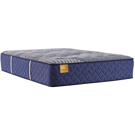 King 15 1/2" Plush Hybrid Tight Top Mattress and Ergomotion Pro Tract Extend Power Base