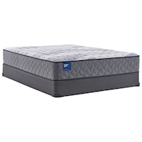 Queen 12 1/2" Cushion Firm Tight Top Mattress and Standard Base 9" Height