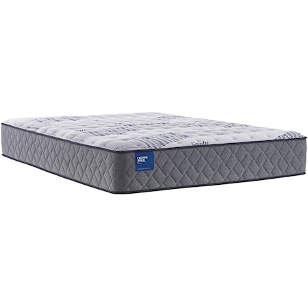 Queen 12 1/2" Cushion Firm Tight Top Mattress and Ease 3.0 Adjustable Base