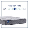 Sealy B3 Cushion Firm TT CJ Full 12 1/2" Cushion Firm Mattress Set